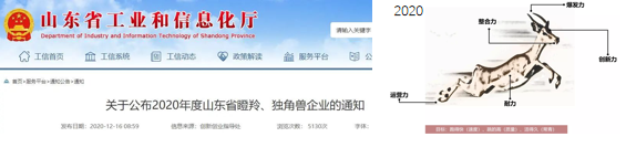 喜报!山东良福制药有限公司喜获双项荣誉
