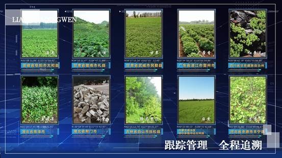 一粒连花清瘟串起了13味地道药材